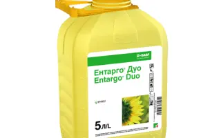 ЕНТАРГО ДУО