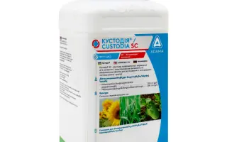 ТебазоГАРД SC