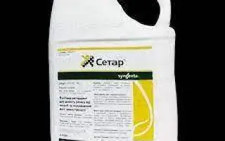 Рессіві 375 FS