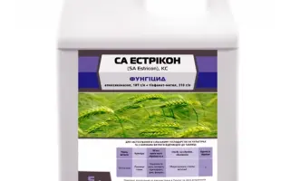 СА Естрікон