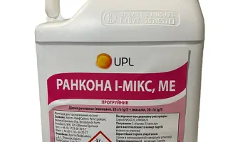Ранкона И Микс