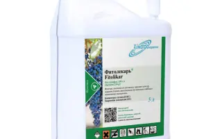 Фитолекарь