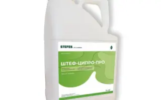 Штеф-ципро-про