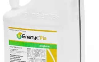 Елатус Ріа 358 EC