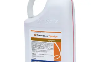 Вайбранс Преміум 90 FS