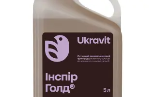 Инспир Голд