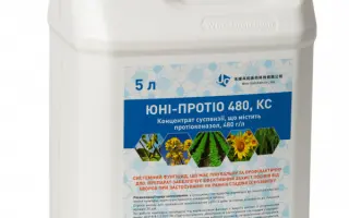 ЮНІ-ПРОТІО 480