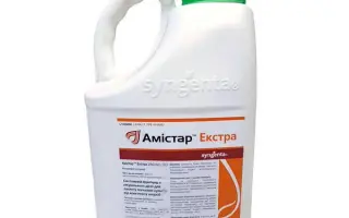 Аксіларис Екстра