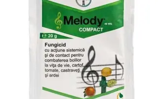 Мелоді Компакт 49 WG