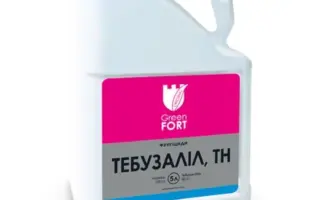 Грінфорт Тебузаліл