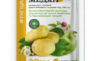 Керамокс Екстра