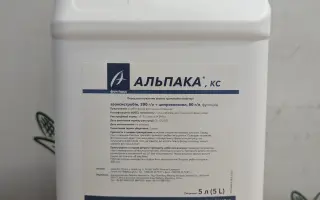 Альпака