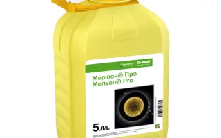 Мерівон® Про