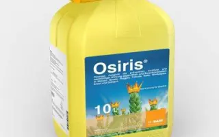 Осіріс® Стар