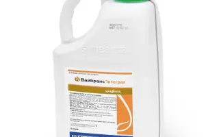 Интеграл® Про