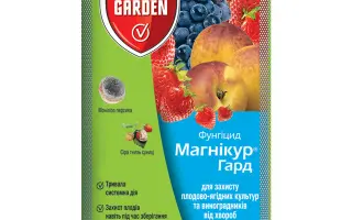 Магнікур Гард