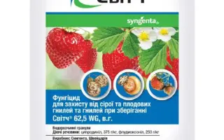 Фліч Голд 62,5 WG