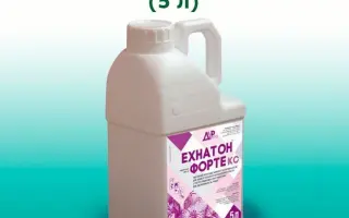 Ехнатон Форте