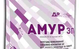 Амур