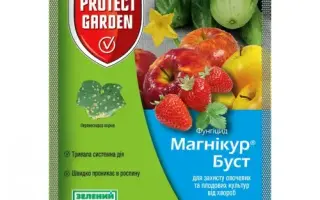 Магнікур Буст 80 WP