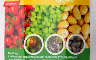 Редіго Прайм 100 FS