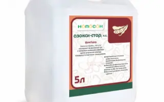 Азокси-Стар