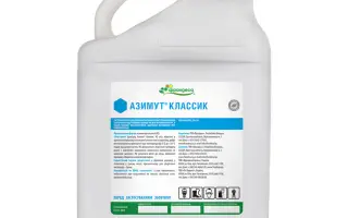 Азимут Классик