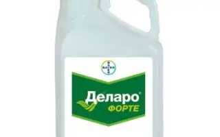 Деларо Форте 280 ЕС