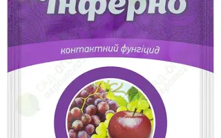 ИНФЕРНО