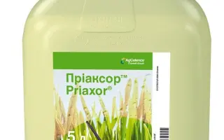 Пріаксор® Тріо