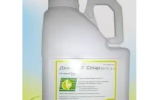 Дивіденд Стар 036 FS