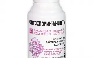 Форсид