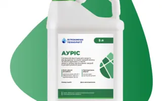 АУРІС