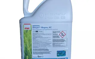 Винцит Форте