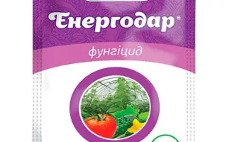 Енервін Про