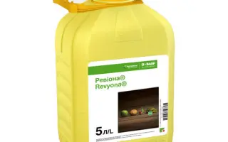 Ревіона®