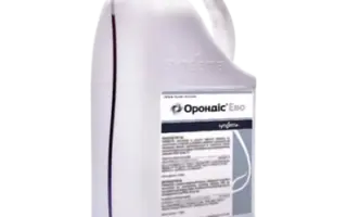 Орондіс Ево 262 SC