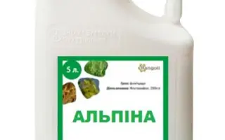 Альпіна