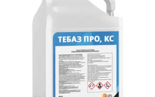ТебазоГАРД SC