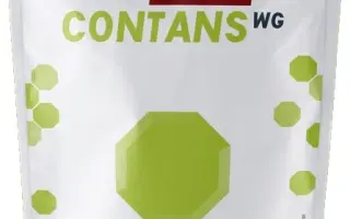 ЛАЛСТОП КОНТАНС