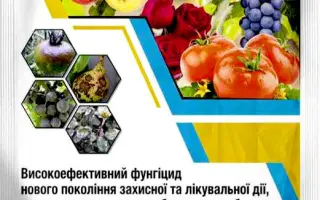 Стробітек в.г.