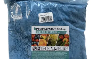 Бордо Изадро 20 в.г.