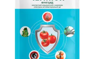 Чемпіон з.п.