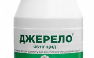 Джерело к.е.