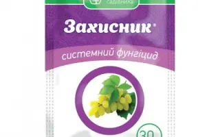 Захисник к.с.