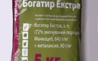 Альфа богатир