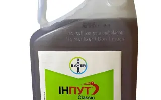 Класік, т.к.с.