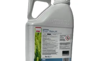 Вінцит Форте SC