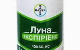 Ломардор 400FS