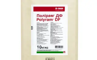 Полірам ДФ в.г.